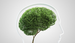 Eco-responsabilité Eco-responsabilité